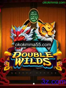 Explorando o Mundo de DoubleWilds: Um Mergulho nas Regras e Estratégias